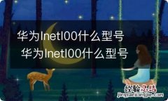 华为lnetl00什么型号华为lnetl00什么型号手机