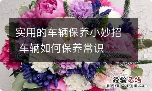 实用的车辆保养小妙招 车辆如何保养常识