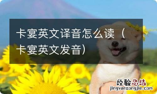 卡宴英文发音 卡宴英文译音怎么读