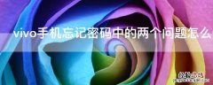 vivo手机忘记密码中的两个问题怎么修改