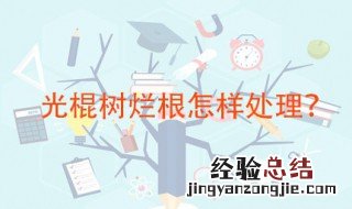 光棍树烂根怎样处理 烂根的主要原因是什么