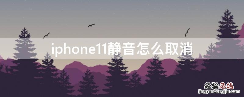 iPhone11静音怎么取消 苹果11手机静音怎么取消