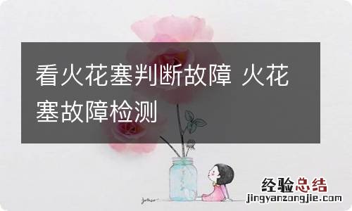 看火花塞判断故障 火花塞故障检测