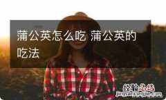 蒲公英怎么吃 蒲公英的吃法