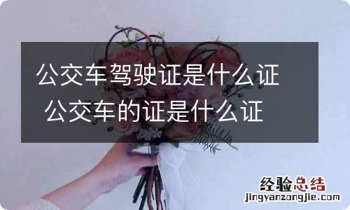 公交车驾驶证是什么证 公交车的证是什么证