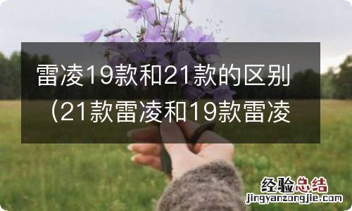 21款雷凌和19款雷凌 雷凌19款和21款的区别