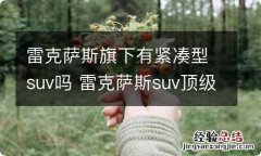 雷克萨斯旗下有紧凑型suv吗 雷克萨斯suv顶级车