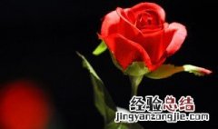 2月14日是什么情人节? 2月14日情人节的含义及寓意