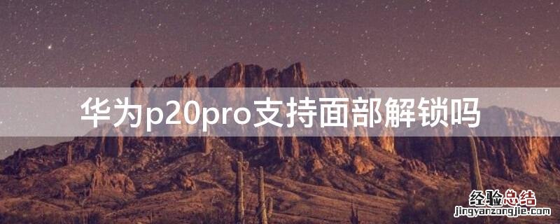 p20pro有面部识别吗 华为p20pro支持面部解锁吗