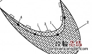 鲜网从哪打开 鲜网是什么