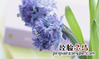 格言大全励志短句 最经典的励志短语格言大全精选