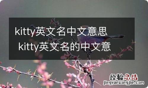 kitty英文名中文意思kitty英文名的中文意思是什么