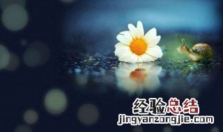 人与人相处感悟的句子 人与人相处感悟的句子-人生感悟-语录一生