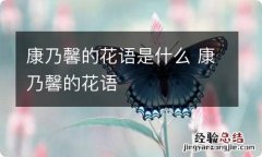 康乃馨的花语是什么 康乃馨的花语