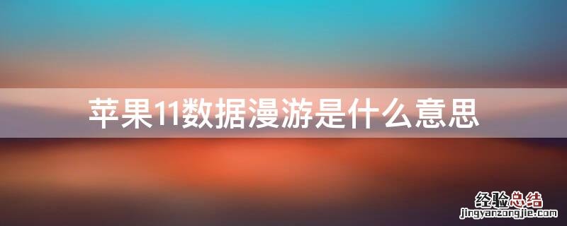 iphone12pro数据漫游什么意思 iPhone11数据漫游是什么意思