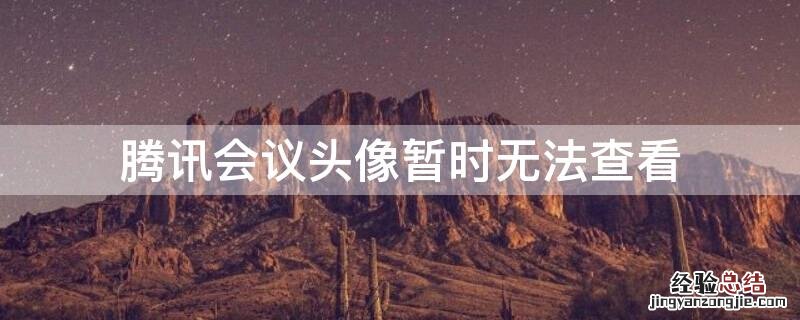 腾讯会议头像暂时无法查看