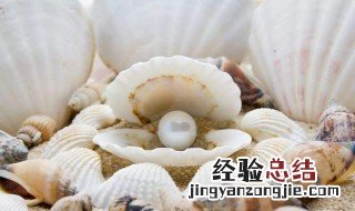 用泡沫箱怎么养珍珠蚌视频教程 用泡沫箱怎么养珍珠蚌