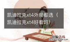 凯迪拉克xt4好看吗 凯迪拉克xt4外观都选