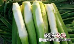 茭白不放冰箱怎么保鲜 茭白要不要放冰箱