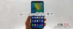 mate20pro指纹在哪里