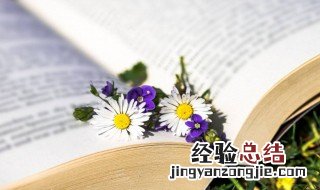 两个字的女生名字 两个字的女生名字游戏