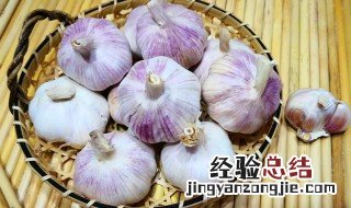 大量新蒜保存方法是什么 大量新蒜保存方法