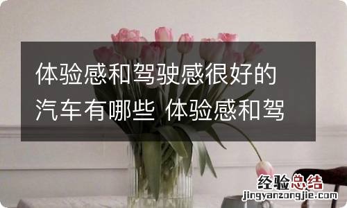 体验感和驾驶感很好的汽车有哪些 体验感和驾驶感很好的汽车有哪些品牌