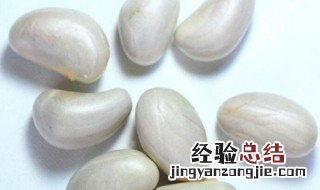 菠萝蜜种子的最佳保存方法 菠萝蜜种子的最佳保存方法视频