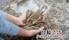 虾线怎么去除虾线 虾线去除方法