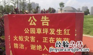 红火蚁怎么消灭 消灭方法如下