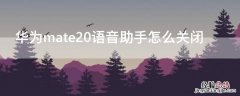 华为mate20如何关闭语音助手 华为mate20语音助手怎么关闭