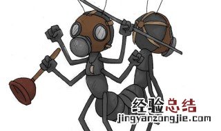 最简单最高效率的家庭灭蚂蚁方法 家庭灭蚂蚁的最佳方法