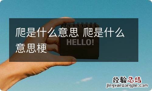 爬是什么意思 爬是什么意思梗