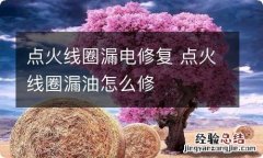 点火线圈漏电修复 点火线圈漏油怎么修