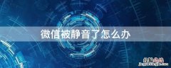 微信被静音了怎么办啊 微信被静音了怎么办