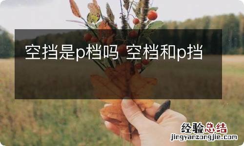 空挡是p档吗 空档和p挡