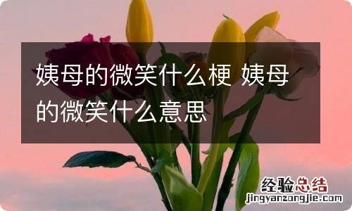 姨母的微笑什么梗 姨母的微笑什么意思