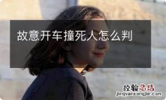 故意开车撞死人怎么判