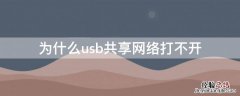 为什么usb共享网络打不开 为什么usb共享网络打不开只能充电