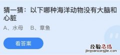 蚂蚁庄园今日答案最新4.12：以下哪种海洋动物没有大脑和心脏？