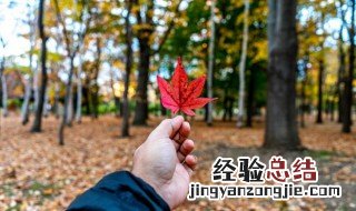 秋天早晨美好句子简短一句 秋天早晨美好句子简短