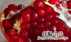 石榴盆栽种植方法是什么 石榴怎么栽种