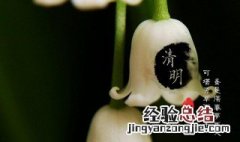 关于清明节的语句100字 关于清明节的语句