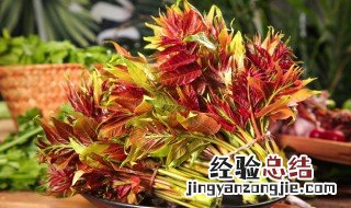 香椿芽怎么长期保存才新鲜 怎么保存新鲜香椿芽