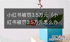 小红书被罚3.5万元怎么办 小红书被罚3.5万元