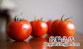 西红柿怎样保存时间最长 西红柿最长可以保存多长时间