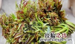 香椿芽怎么长期保存 椿芽怎么可以长期保存