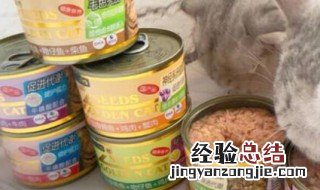 猫罐头夏天要放冰箱吗 猫罐头夏天需要冷藏吗