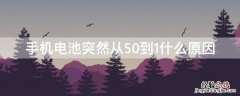 手机电池突然从50到1什么原因