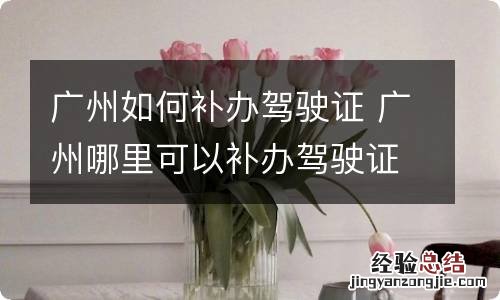 广州如何补办驾驶证 广州哪里可以补办驾驶证